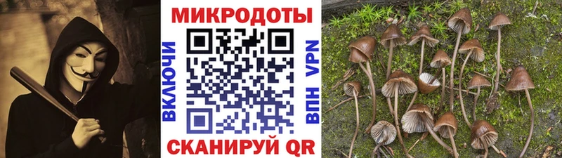 купить наркотик  Сызрань  Галлюциногенные грибы Cubensis 
